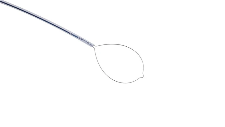 Single Use Polypectomy Snare factory